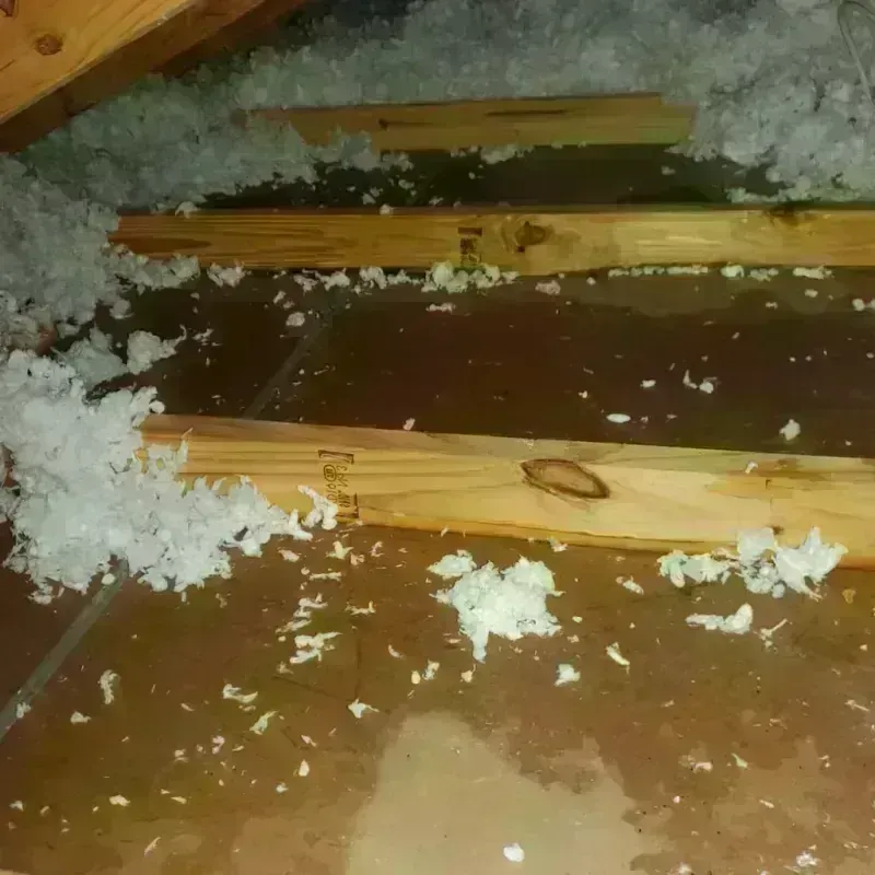 Attic Water Damage in Coldwater, KS