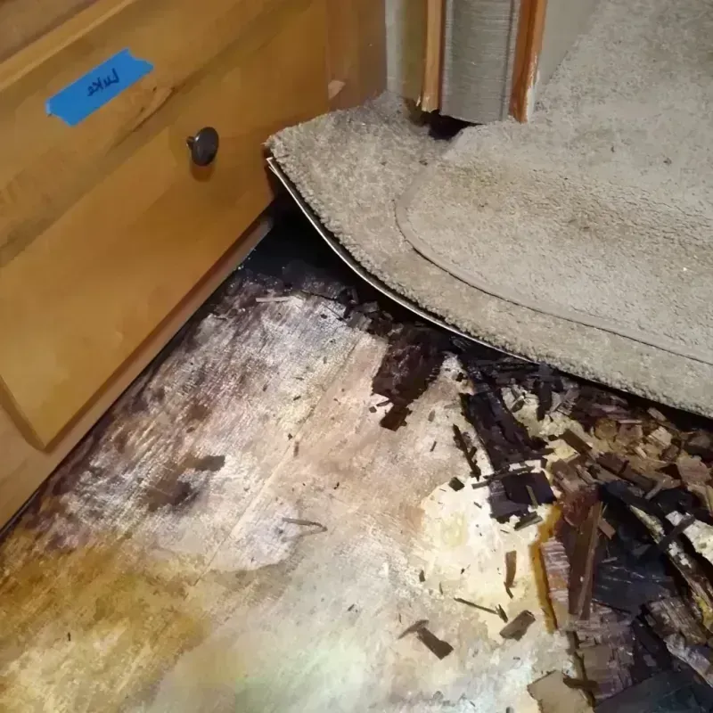 Wood Floor Water Damage in Coldwater, KS